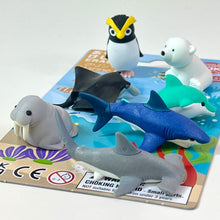Load image into Gallery viewer, 383861 MARINE 4 ERASER CARD-1 CARD