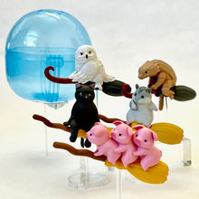 Load image into Gallery viewer, 70274 Flying Broom Animals Figurine Capsule-5
