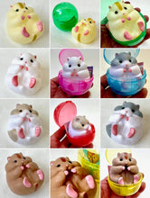 Load image into Gallery viewer, 70260 Biting Hamsters Soft Figurine Capsule-5
