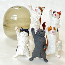 Load image into Gallery viewer, 70273 Nyaoo Cheer Cats Figurine Capsule-5
