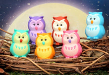 Load image into Gallery viewer, 380068 IWAKO OWL ERASERS-BROWN-1 eraser