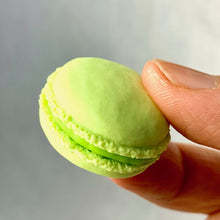 Load image into Gallery viewer, 3816722  IWAKO FRENCH PASTRY ERASERS-11