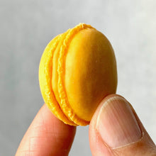 Load image into Gallery viewer, 3816722  IWAKO FRENCH PASTRY ERASERS-11
