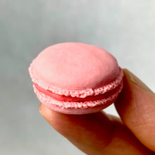Load image into Gallery viewer, 3801210 IWAKO PINK MACARON ERASER-1 ERASER