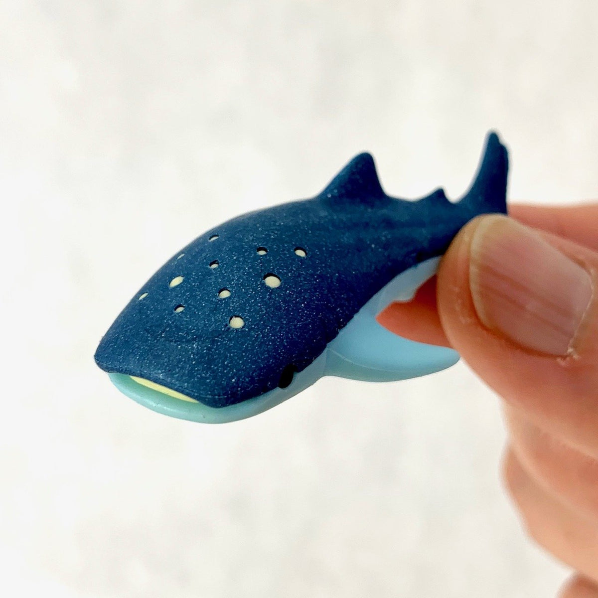 382532 Iwako Whale Shark Erasers-3 Erasers – Iwakousa