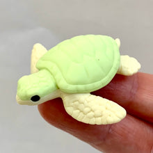 Load image into Gallery viewer, 382506 IWAKO SEA TURTLE ERASER-GREEN-1 eraser