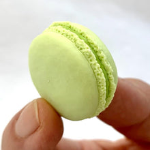 Load image into Gallery viewer, 383471 IWAKO FRENCH PASTRY ERASER CARD-1 CARD
