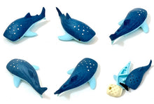 Load image into Gallery viewer, 382535 IWAKO WHALE SHARK ERASER-DARK BLUE-1 eraser