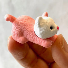 Load image into Gallery viewer, 380021 Iwako CAT ERASER New Assortment-8 ERASERS