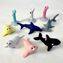 Load image into Gallery viewer, 381827 IWAKO GARDEN EEL ERASERS-ASSORTED 3 COLORS-3 erasers