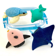 Load image into Gallery viewer, 383501 IWAKO OCEAN ERASER SET-2 Boxes of 8 Erasers