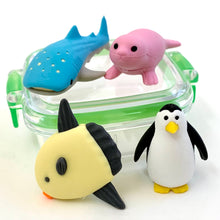 Load image into Gallery viewer, 383501 IWAKO OCEAN ERASER SET-2 Boxes of 8 Erasers