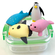 Load image into Gallery viewer, 383501 IWAKO OCEAN ERASER SET-2 Boxes of 8 Erasers