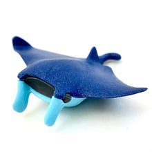 Load image into Gallery viewer, 383501 IWAKO OCEAN ERASER SET-2 Boxes of 8 Erasers
