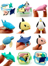 Load image into Gallery viewer, 383501 IWAKO OCEAN ERASER SET-2 Boxes of 8 Erasers