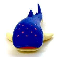 Load image into Gallery viewer, 384561 Iwako Colorz Whale Sharks-1 box of 5 Erasers