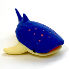 Load image into Gallery viewer, 384561 Iwako Colorz Whale Sharks-1 box of 5 Erasers