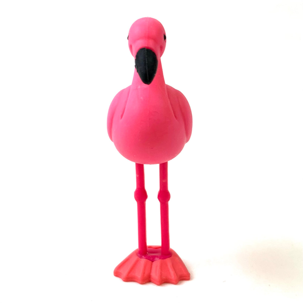 flamingo♡ IMG_4202_1200x1200.jpg?v=