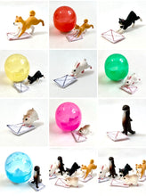 Load image into Gallery viewer, 70825 MOPPING ANIMALS CAPSULE-5
