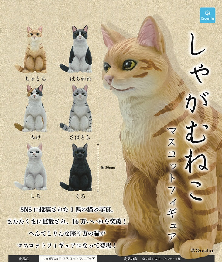 70854 SITTING CAT CAPSULE-6