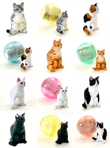 70854 SITTING CAT CAPSULE-6