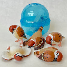 Load image into Gallery viewer, 70986 Tired Sparrow Figurine Capsule-5
