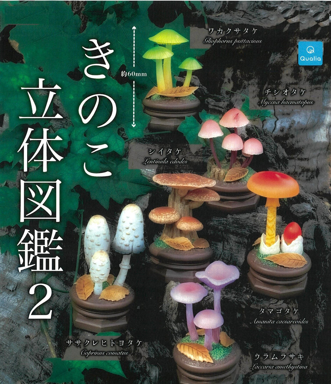 70219 Mushroom Vol. 2 Figurine Capsule-6