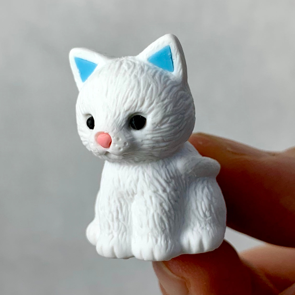 IWAKO ERASERS – IwakoUSA