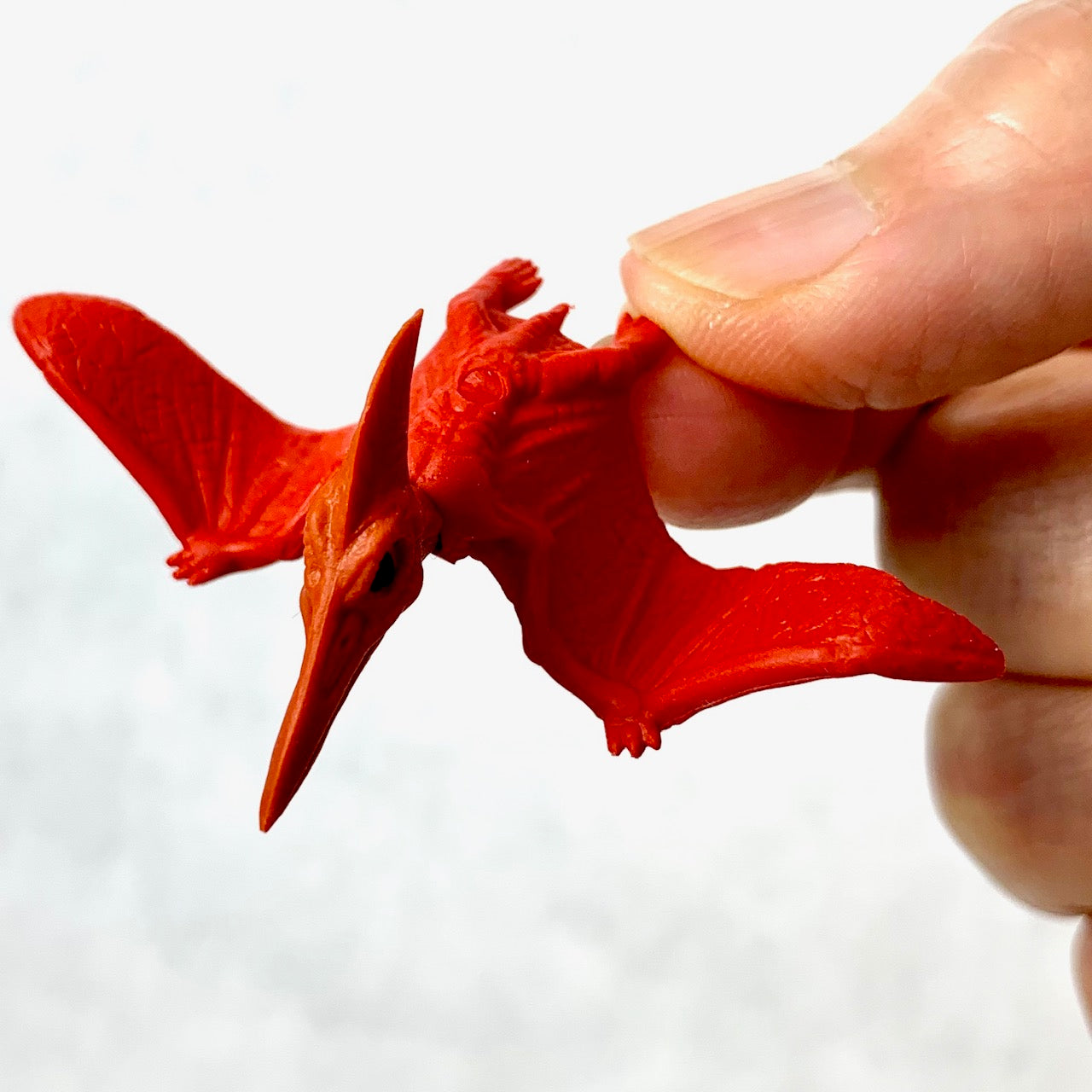 380074 IWAKO DINO PTERANODON ERASER-RED-1 eraser – IwakoUSA