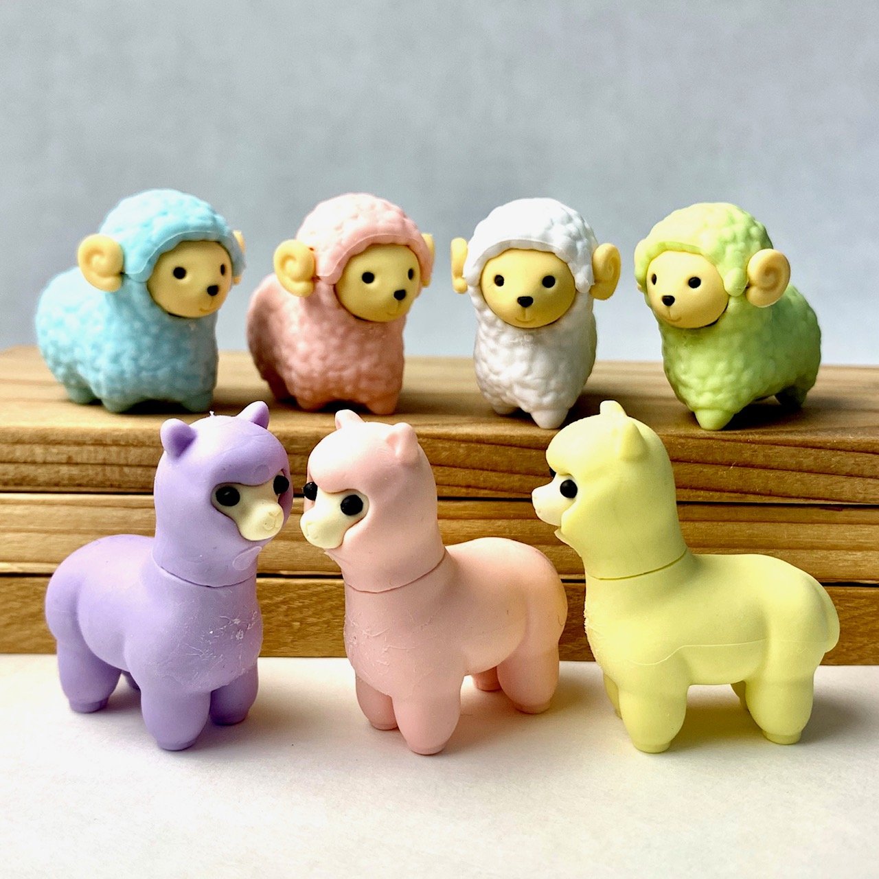 IWAKO ERASERS – Tagged 