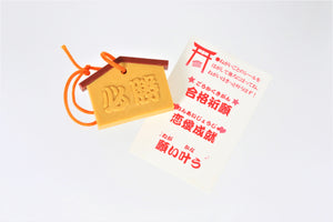 380982 Iwako Japanese Wishing Tablet Eraser-5 erasers