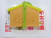 Load image into Gallery viewer, 380982 Iwako Japanese Wishing Tablet Eraser-5 erasers
