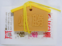 Load image into Gallery viewer, 380982 Iwako Japanese Wishing Tablet Eraser-5 erasers

